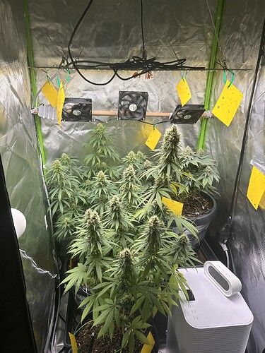 Growreport Bild 1