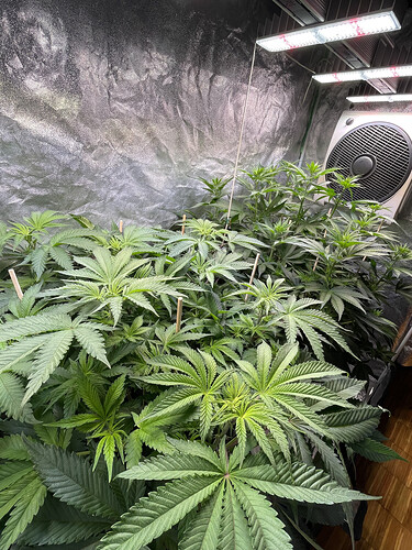 Growreport Bild 4