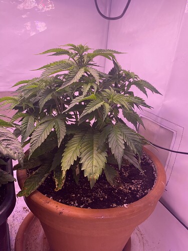 Growreport Bild 3