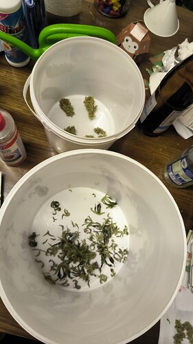 Growreport Bild 7