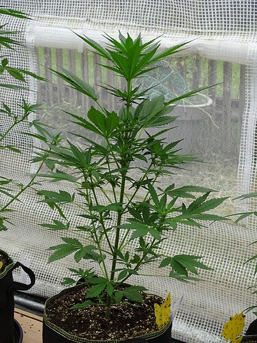 Growreport Bild 13