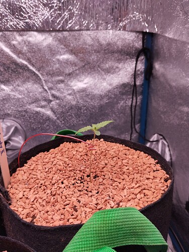 IMG_20241123_181921 - Kopie