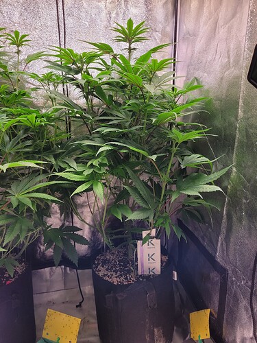 Growreport Bild 22
