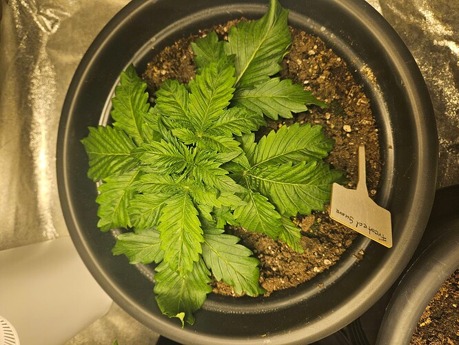 Growreport Bild 21