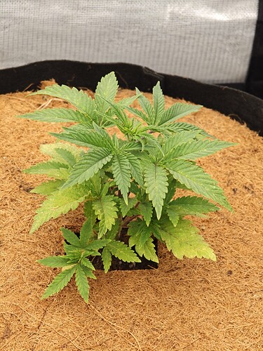 Growreport Bild 10
