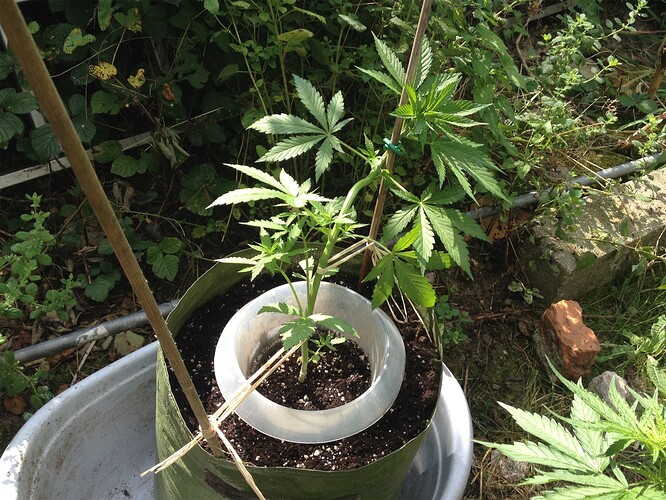 Growreport Bild 11