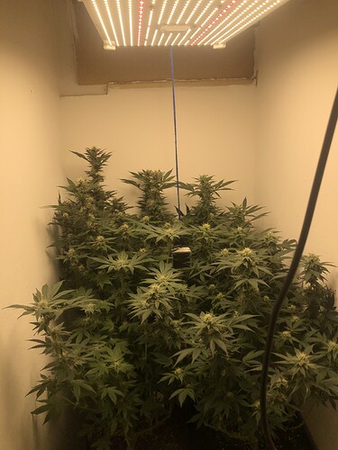 Growreport Bild 13