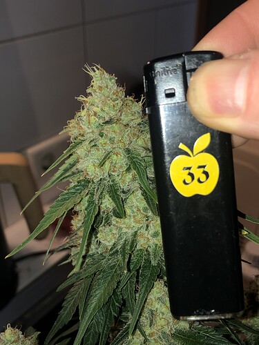 Growreport Bild 21