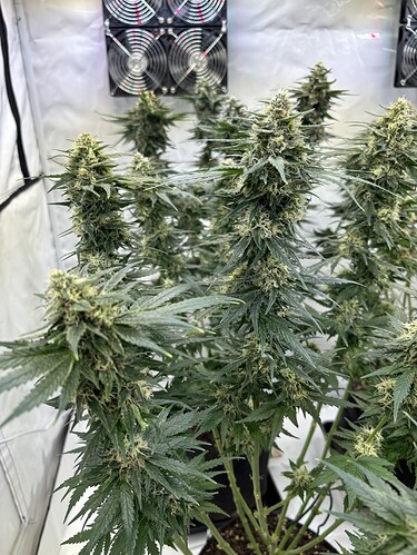 Growreport Bild 15
