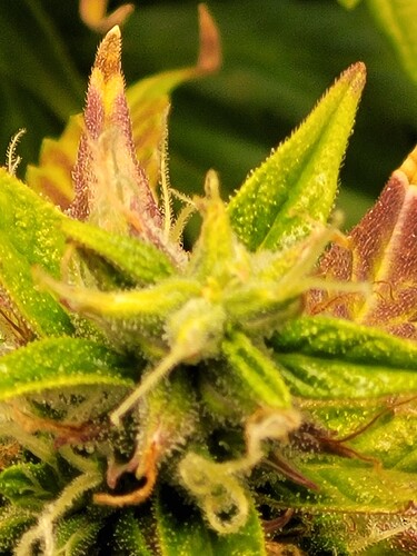 Growreport Bild 17