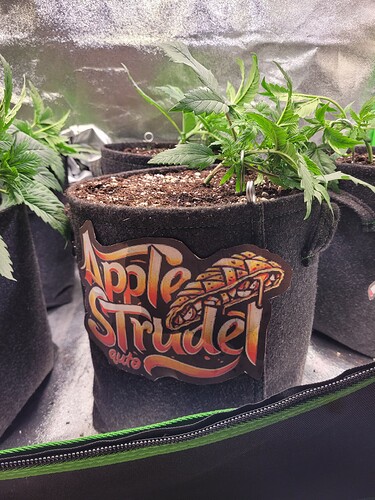 Growreport Bild 21