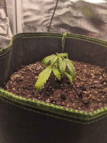 PXL_20240504_221911146