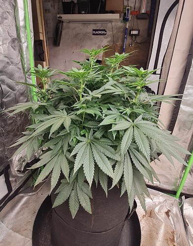 Growreport Bild 16