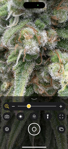 Growreport Bild 8