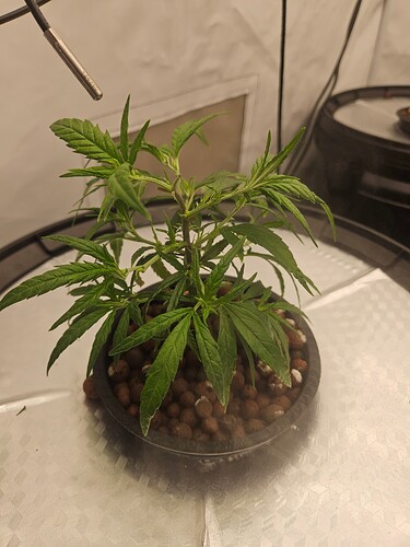 Growreport Bild 38