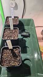 WhatsApp Image 2024-04-23 at 19.13.58