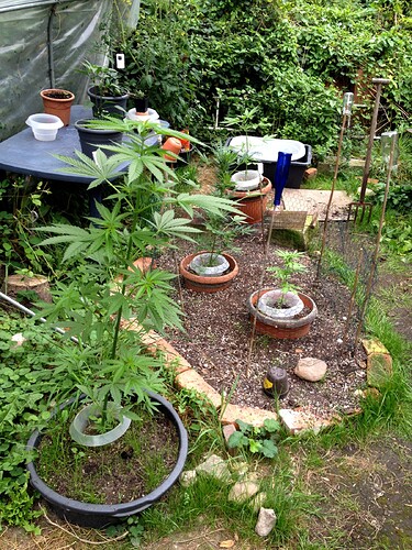 Growreport Bild 18