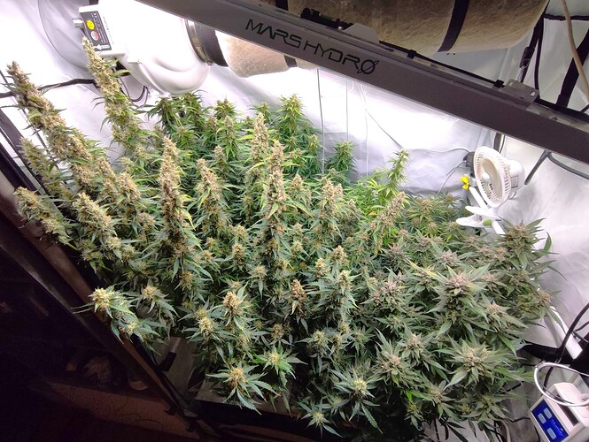 Growreport Bild 8