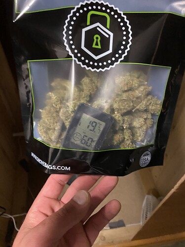 Growreport Bild 45