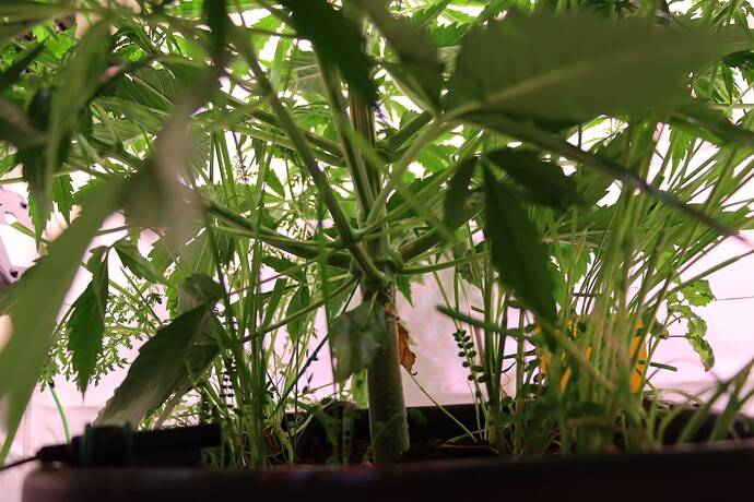 Growreport Bild 22