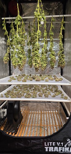 Growreport Bild 1