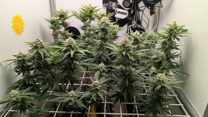Growreport Bild 22