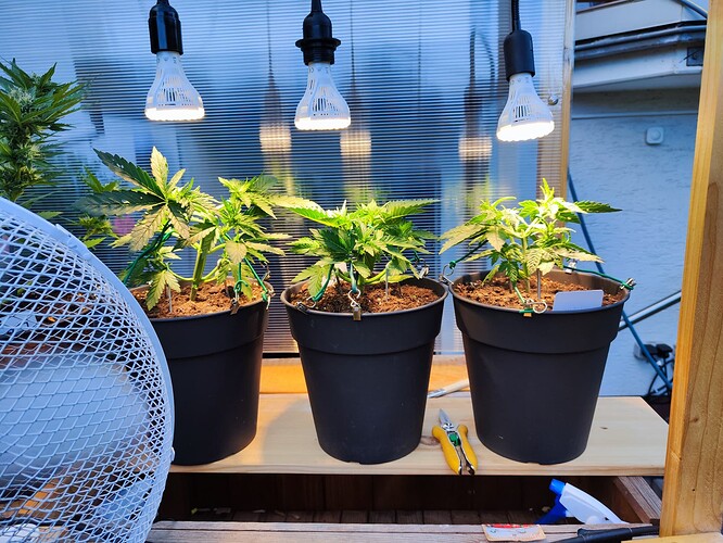Growreport Bild 16