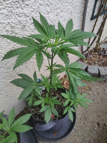 Growreport Bild 7