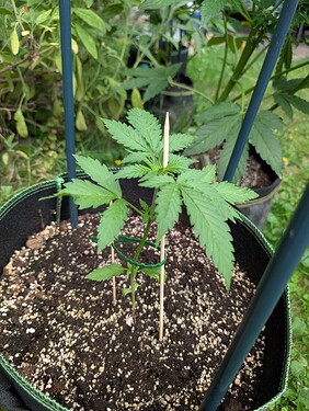 PXL_20250622_150451476