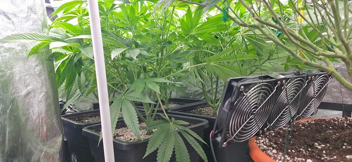 Growreport Bild 14