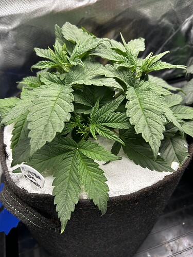 Growreport Bild 24