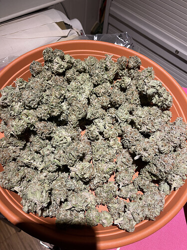 Growreport Bild 9