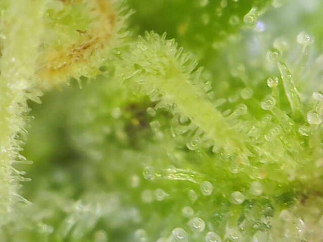 Image_2024-07-15 10_58_40_758