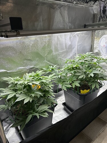 Growreport Bild 17