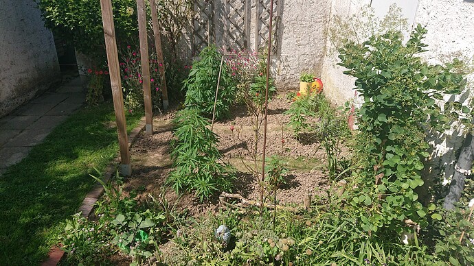 Growreport Bild 2