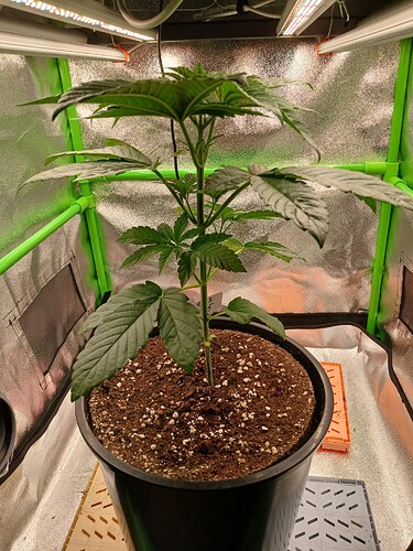 Growreport Bild 10