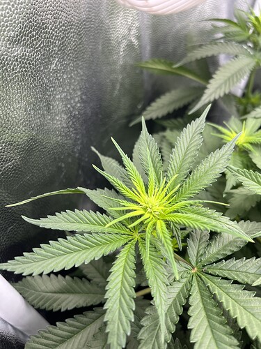 Growreport Bild 17