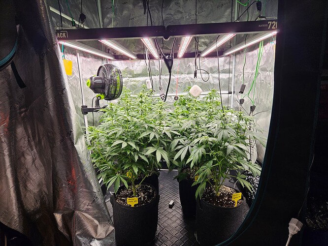 Growreport Bild 8