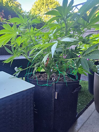 Growreport Bild 22