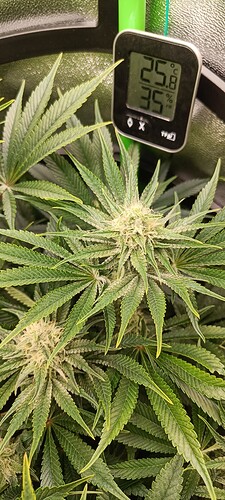 Growreport Bild 5