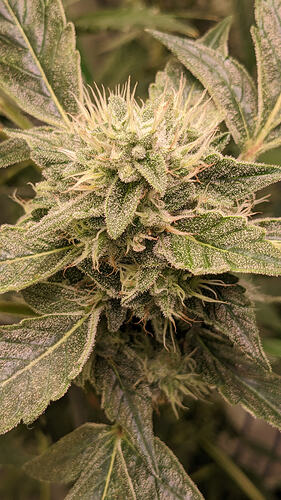 PXL_20260307_161437333