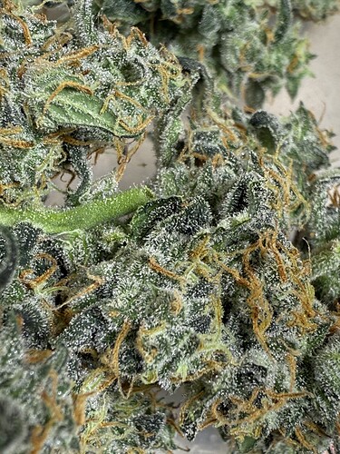 Growreport Bild 24