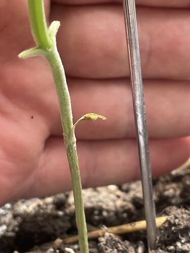 Growreport Bild 20