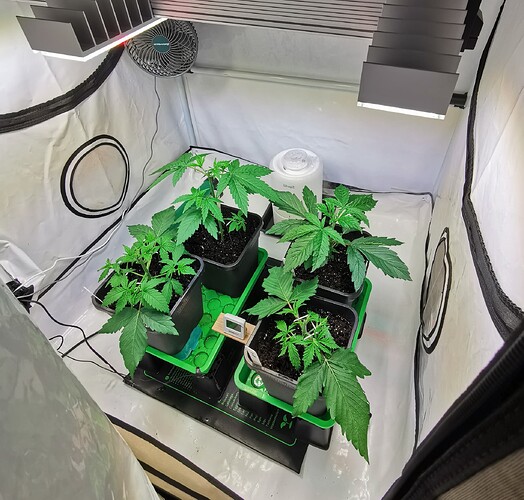 Growreport Bild 6