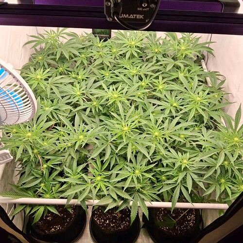 Growreport Bild 14