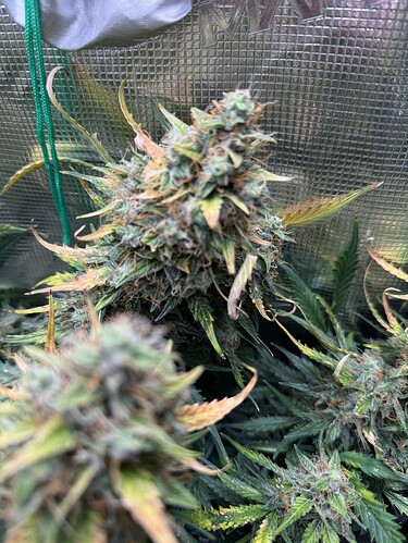 Growreport Bild 22