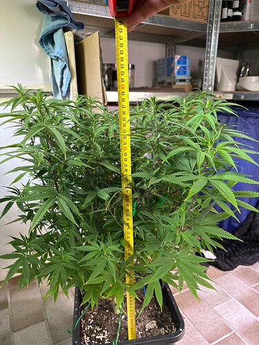 Growreport Bild 24
