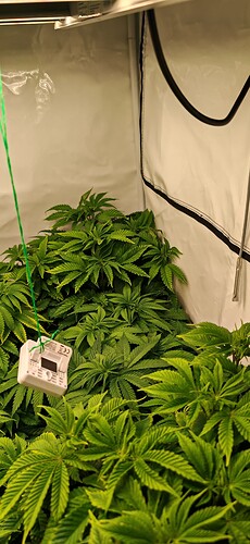 Growreport Bild 3