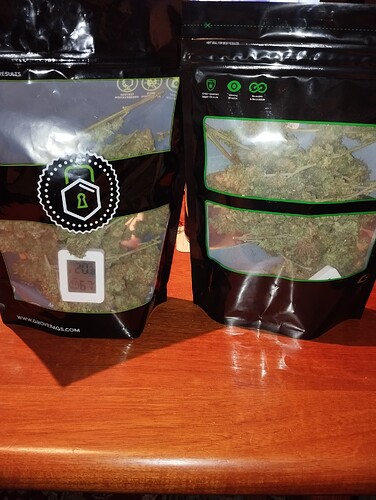 Growreport Bild 1