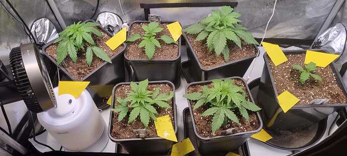 WhatsApp Image 2025-12-04 at 21.04.52